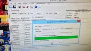 ST-Link Programmer/Debugger Demo