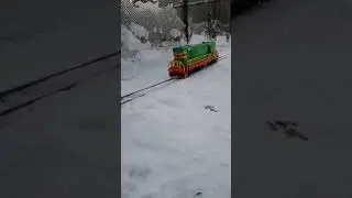 тепловоз ЧМЭ3 следует резервом близ станции 