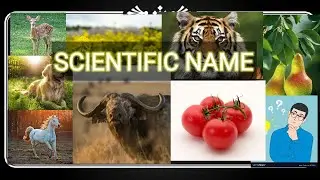 Scientific name || Plants and Animals || Common and important