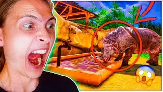 Я ПОСТРОИЛ САМЫЙ ЛУЧШИЙ ЗООПАРК В МИРE ➲ Zoo Simulator Demo