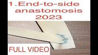End-to-side vascular anastomosis, freely-moving donor limb, 2023, extended