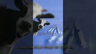 Молоко для диабетиков