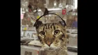САМОЕ ВАЖНОЕ ВИДЕО(СМОТРЕТЬ ВСЕМ)