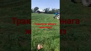трактрчи аена