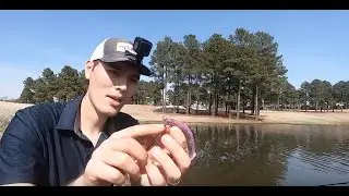 Craft and Catch: Making lures and catching fish!