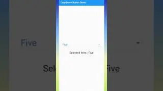 How to Implement DropDown Button in Flutter | DropDown | Flutter Coding