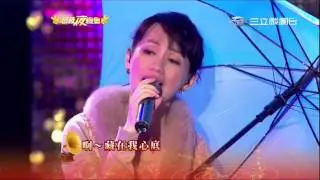 蔡幸娟_北國之春+淚的小雨+誰來愛我+絲絲小雨(20130323)_HD高清版