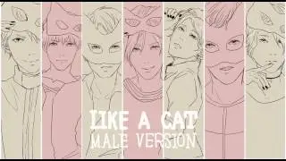 【AOA】 Like A Cat male.ver