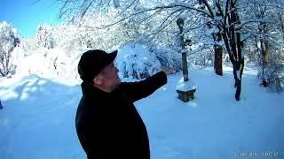 Трускавец, 6 февраля 2018. Прогулка в парке, в сторону нижнего бювета