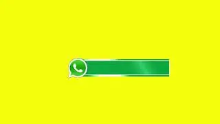 whatsapp logo patti green screen