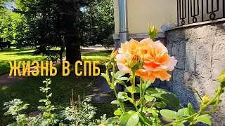 ПИТЕР ИЮЛЬ 2024 / ПОКУПКИ / ДЕНЬ ВЛЮБЛЕННЫХ 💗