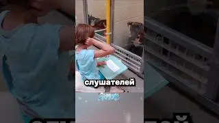 Собака для чтения