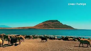 Dusty Journey