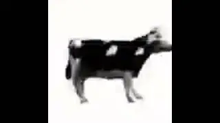 #funny #memes #memesvideo #memesdaily #fypシ #fyp