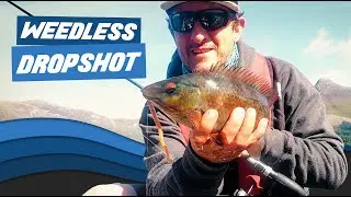 Weedless Dropshot Fishing with Jake Schogler - HTO Lures