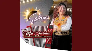 Mix Acordeones (Farranderita & Si plata tuviera & Mi guitarrita)