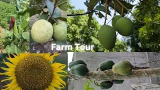Farm Tour  #RaviRajendranTech