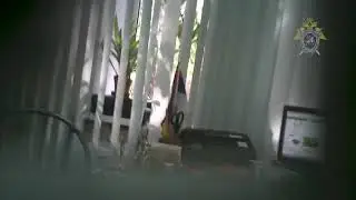 Директор Ульяновского детского сада берет взятку  СКР
