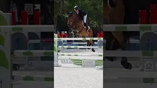 Quintessence is back, 4th in today’s $100k HITS Grand Prix!! #jumping #equestrian #horse