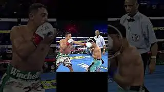 Boxers Genius Counter