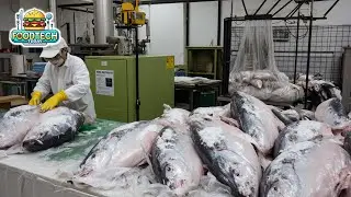 How Canned Tuna is Made in a Factory | Why We're Saying Goodbye to Canned Tuna!
