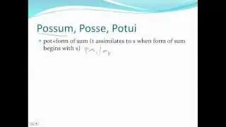 Present Tense of Possum, Posse, Potui