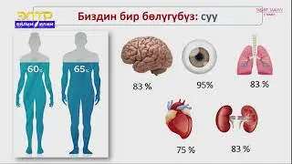 5-класс | Табият таануу  | Суунун бууланышы