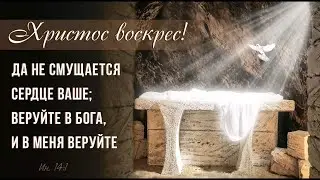 23.04.2023г. Богослужение в Мытищинской Церкви Евангельских Христиан Баптистов