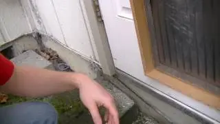 BEST DIY Dog Door EVER!!