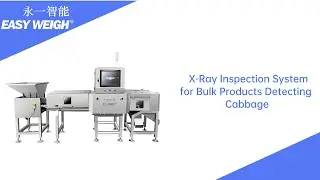 Ensuring Quality: X-Ray Inspection System for Bulk Products Detecting Cabbage