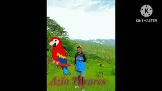 Nocko Ft Loriku Oan Kiak Timor Asuwain 2023