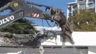 Снос здания на набережной Ялты