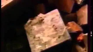 А Невзоров Дикое поле 15 Чаронда