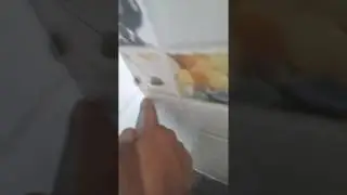How to make cockroaches run away without pesticides