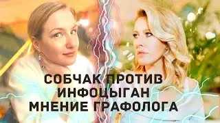 Расследование графолога. Собчак против инфоцыган?
