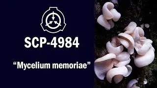 SCP-4984 