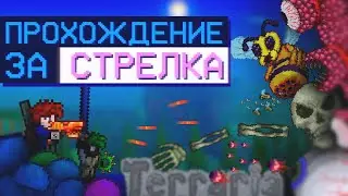Как пройти Террарию за стрелка? (ч.1)