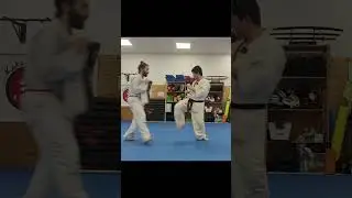 Spinning Back Kick - Ushiro Geri