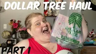 HUGE Dollar Tree Haul Part 1/2