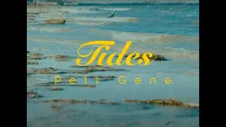 Peli Gene - Tides (Official Music Video)