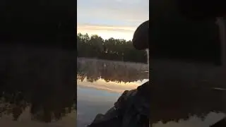 Какое шикарное утро.....
