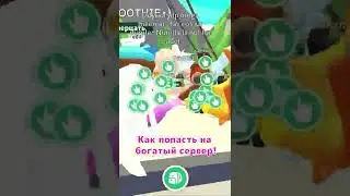 Как всегда попадать на богатые сервера Adopt Me? 