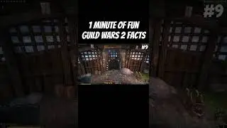 1 Minute of Fun Guild Wars 2 Facts