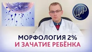 Морфология сперматозоидов и зачатие ребёнка. Врач-уролог-андролог ЦИР, к.м.н., Живулько А.Р.