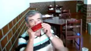 harmonica gaita tocada com nariz
