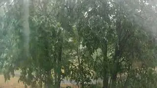 Что, для европы боль,для нас, красота и буйство природы