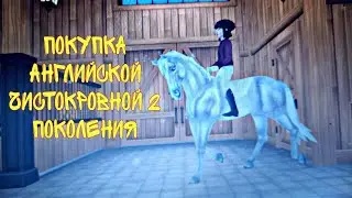 Покупка Английской Чистокровной 2 поколения в Star Stable Online | Скидки на лошадей |