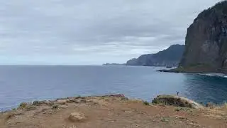 Wild Madeira