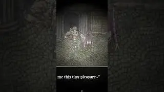 🟤 [