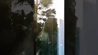 Согласие 